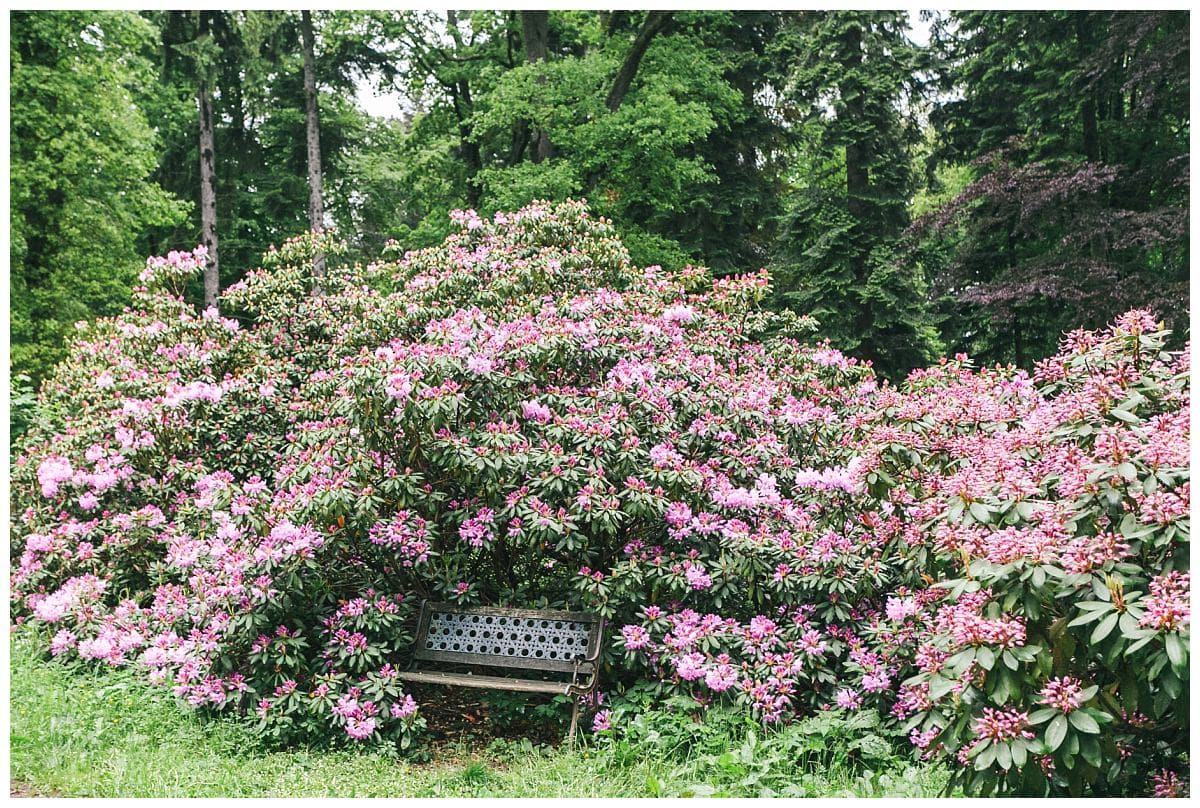Kelionė į Čekiją, Trip to Czech Republic, Čekijos Rojus, Bohemian Paradise